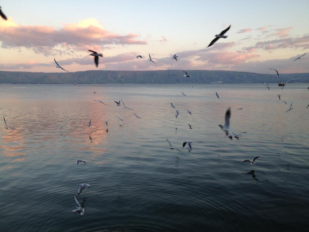 Ron Beach Hotel Tiberias Exterior photo